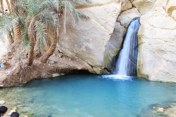 Fotobehang Desert Oasis, Chebika, Tunesië © numage