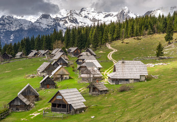 Zajamniki Alpine Meadow in Pokljuka