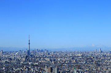 東京の都市風景　スカイツリーと東京の町並み