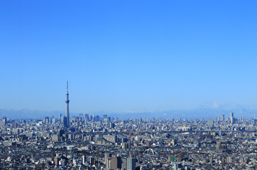 Fototapeta premium 東京の都市風景 スカイツリーと東京の町並み