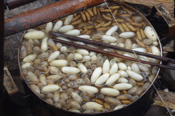 Traditionelle Seidenproduktion in Laos