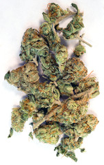Green Buds Marijuana Plant Flower Cannibis Natural Medicine