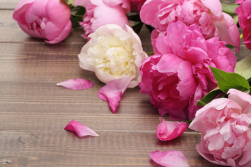 pink peonies on wooden background