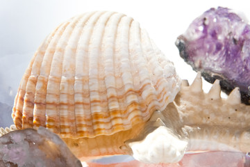 raw precious stones and shells