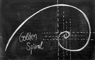 Fototapeta na wymiar Spirala Fibonacciego