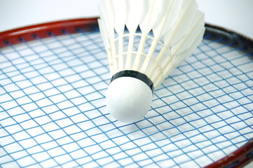 The shuttlecock isolated on the white background
