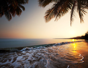 Tropical beach