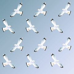ornamental repetition of gulls against the sky