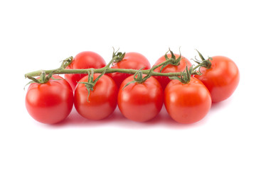 Cocktail tomatoes branch isolated on white