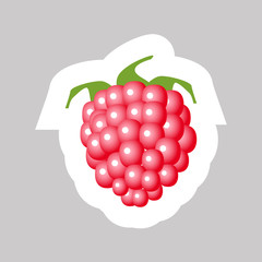 Raspberry