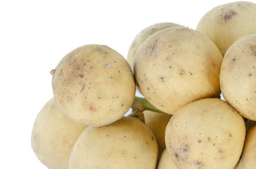 Lansium domesticum on white background