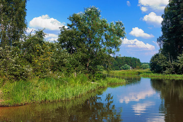 Backwater of the Volga River