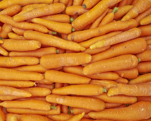 fresh organic carrots for sale, natural background