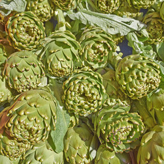 Obraz premium fresh artichokes for sale, natural background