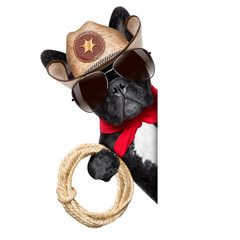 cowboy dog