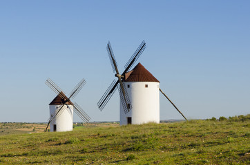 Fototapeta premium Two windmills