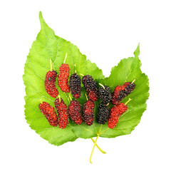 Red and black mulberry on leaf isolated