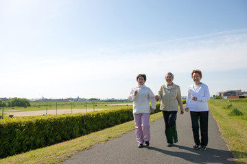 Fototapeta premium 道路を歩く日本人高齢者の3人組