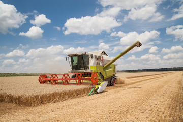 Combine working on a wheat field