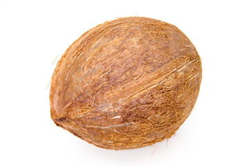 Coconut