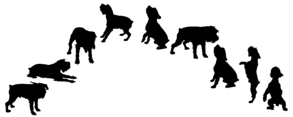 Vector silhouette of a dog.