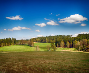 Landscape with meadows and trees