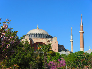 Fototapeta na wymiar Hagia Sophia behind the trees