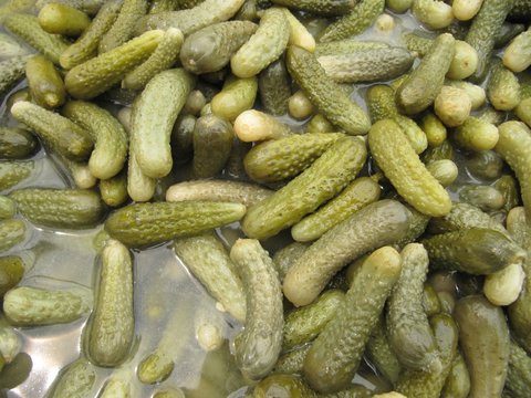 Pepinillos en vinagre. Pickles of cucumbers.