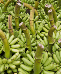 raw banana