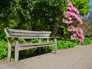 Fototapeta na wymiar Garden bench
