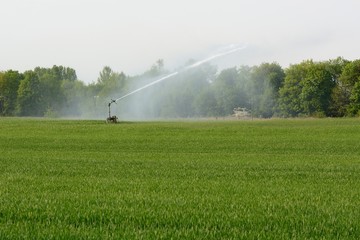 Bew&auml;sserung mit Sprenger