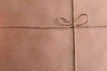 String tied in  bow on brown paper packaging close-up