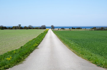 Road to the coast