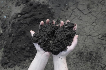 Soil in the open palm