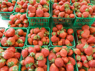 Organic Strawberries at Farmers Market