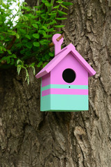 Obraz na płótnie Canvas Birdhouse in garden outdoors