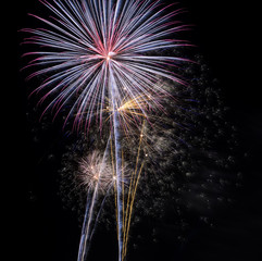 Colorful fireworks in the night sky