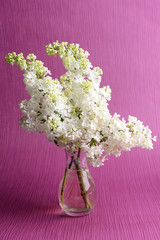 Beautiful lilac flowers vase on purple background