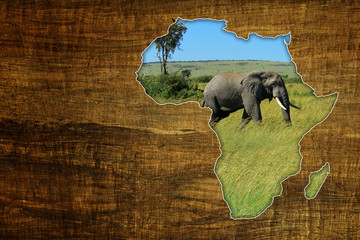 Africa Wildlife Map Design