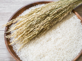 White rice  and rice plant on the wooden plate