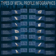 Obraz premium Types of metal profile, info graphics