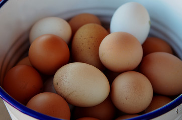 huevos caseros