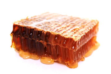 honeycomb with honey