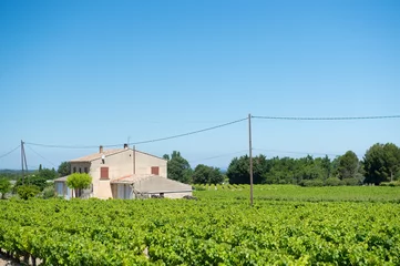 Deurstickers Vineyard in France © Ivonne Wierink