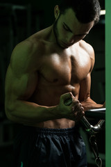 Obraz na płótnie Canvas Young Man Exercising Biceps In A Gym