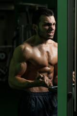 Fototapeta na wymiar Bodybuilder Exercising Biceps In A Gym