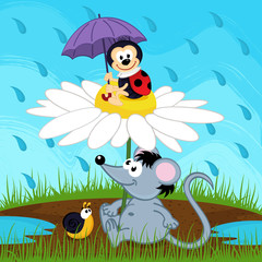 mouse ladybug snail hiding from rain - vector illustration