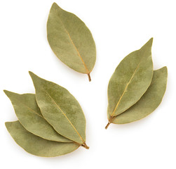 bay leaf on white