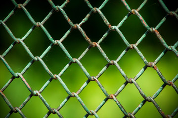 Fototapeta premium texture wire fence