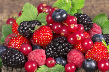 Wild berries